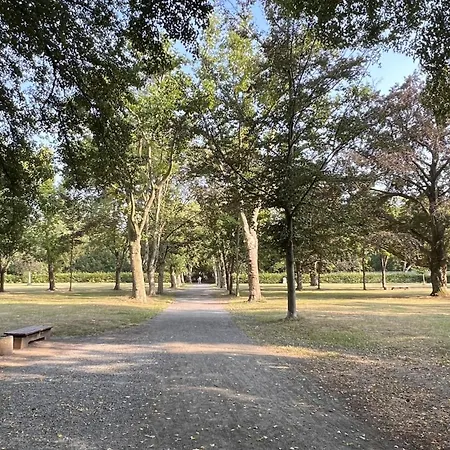 Vakantiehuis Koenig Georg *